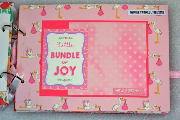 Baby Girl Scrapbook album